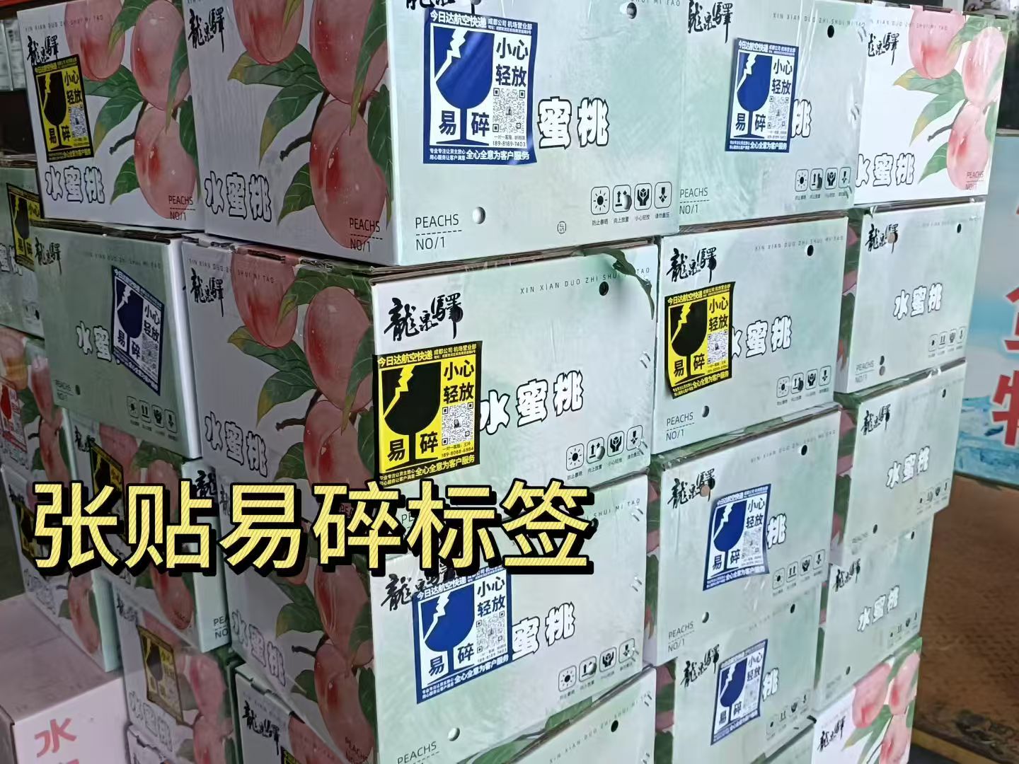 微信图片_2025-07-31_095402_635.jpg